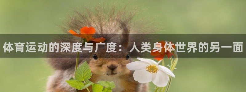 JJB竞技宝官网下载:体育运动的深度与广度:人类身体世界的另