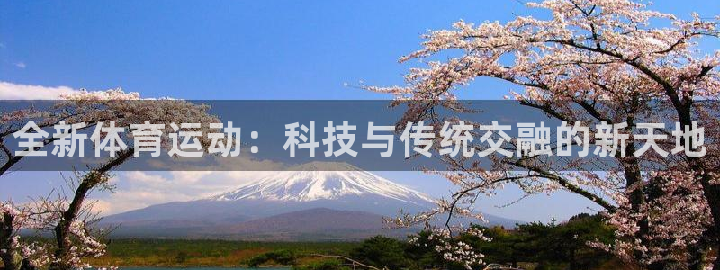 JJB竞技宝官网下载官方客服电话:全新体育运动:科技与传统交