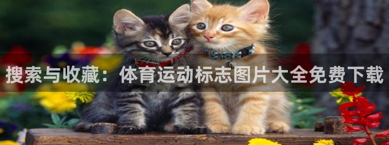 JJB竞技宝官网下载平台注册要钱吗是真的吗:搜索与收藏:体育